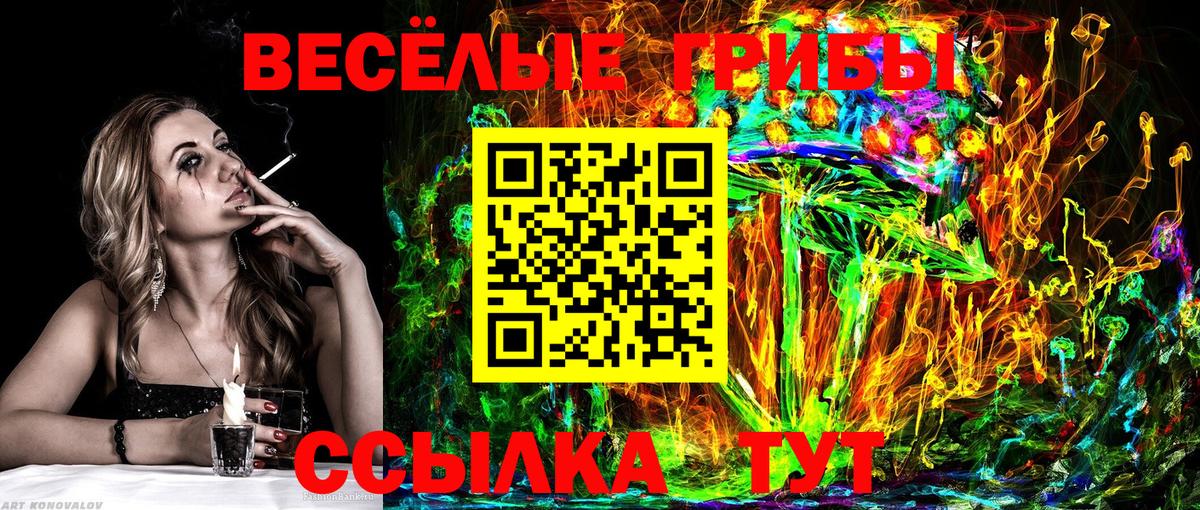 Псилоцибиновые грибы GOLDEN TEACHER  Вход с VPN  Галлюциногенные грибы мухоморы  Ессентуки 