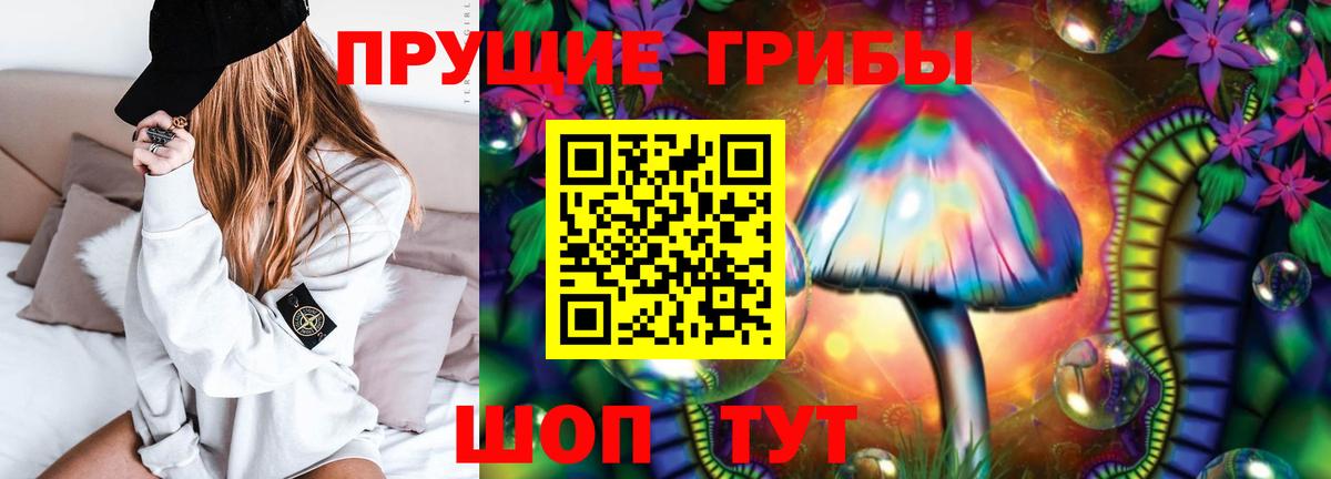 Галлюциногенные грибы мицелий Ессентуки
